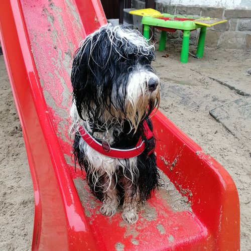 Kiga Bullerbü Mila Hund